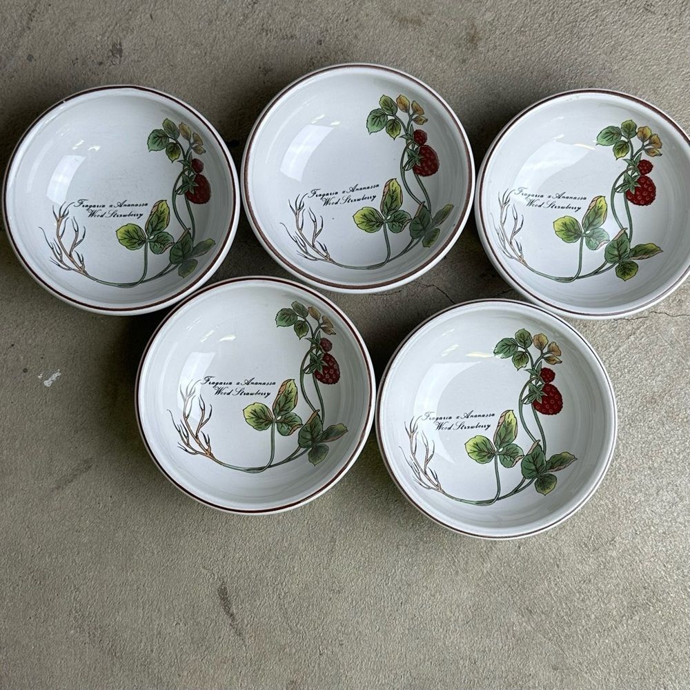 Vintage 1980's Botanical Garden Ceramic Bowl Set/5 Strawberry Pattern Farmhouse